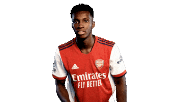Celebrate London Sticker by Arsenal