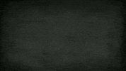 the last kingdom destiny GIF