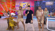 Faro Dancagatinho GIF by Record TV