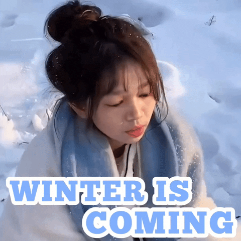 Winter Is Coming Snow GIF