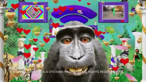 Money Love GIF by systaime