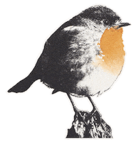 Bird Garden Sticker