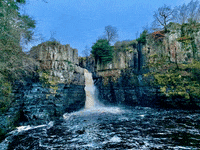 Spezialist Fuer Versandvermitt GIF by FranchiseONE.de