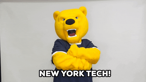 Bear Reaction GIF by New York Institute of Technology (NYIT)