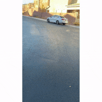 Cp Lol GIF by Nevada Brew Works