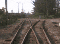 Looking Around Miami Vice GIF by Goldmaster