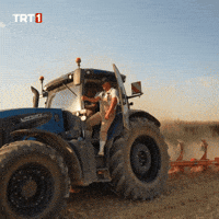 See You Hello GIF by TRT