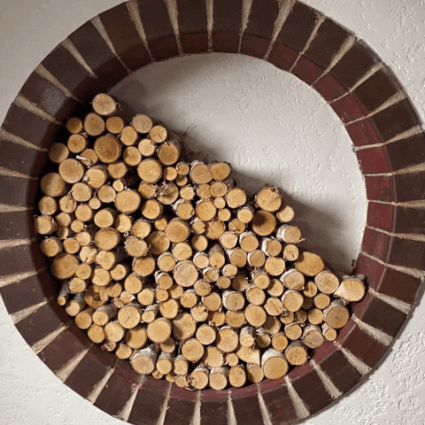 Denver Logs GIF by nextwithkyleclark