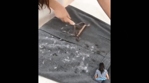 lucassennac287 giphygifmaker giphyattribution GIF