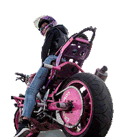 Motorcycle Stuntbike Sticker by Crazy Iron