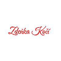 Zdenka Koci Sticker by jetosen.cz