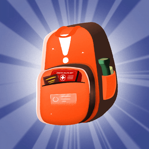 BBKBund giphyupload bag backpack sicherheit GIF