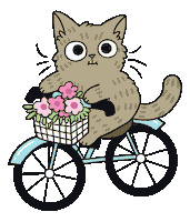 Cat Sticker by meowbox