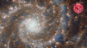 Nasa Universe GIF by ESA/Hubble Space Telescope