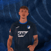 Sport Bundesliga GIF by TSG Hoffenheim