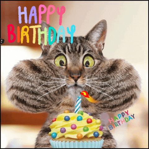 peggyhayestumlin giphygifmaker giphyattribution gif happy birthday cat cupcake cute GIF