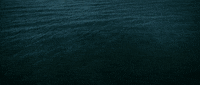 holy hell architects GIF by Epitaph Records