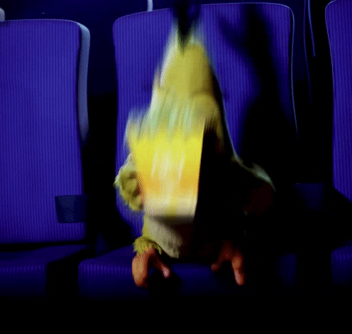 Scary Movie Chuck GIF by Angry Birds
