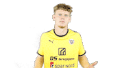 3F Superliga Sticker by Hobro IK