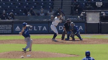 Ny Yankees GIF by Jomboy Media
