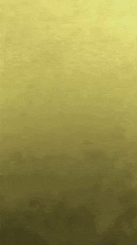 Logo GIF