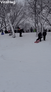 Worlds Smoothest Wipeout GIF by ViralHog