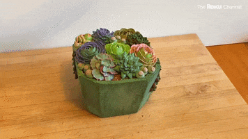 Eye Candy GIF by The Roku Channel