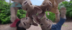peter rabbit GIF