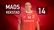HaslumHK handball dont know haslumhk why always me GIF