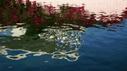 greatgardens GIF by NOWNESS