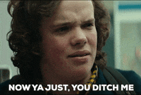 GIF by Halloween