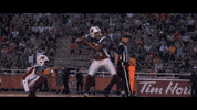 montreal alouettes football GIF by Alouettes de Montréal
