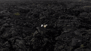 3d field GIF by Joanie Lemercier