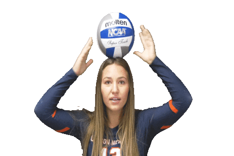 C-N Volleyball Sticker by Carson-Newman Athletics
