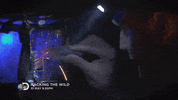 GIF by Mashable
