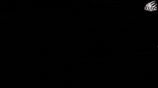 Football GIF by Elon Phoenix
