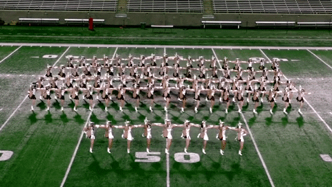 strutters giphygifmaker slam txst texas state GIF