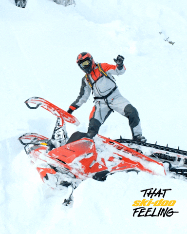 fun snow GIF