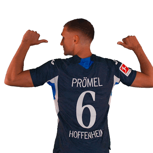 Grischa Prömel Sport Sticker by TSG Hoffenheim