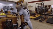 Big Ten Mascot GIF by Goldy the Gopher - University of Minnesota