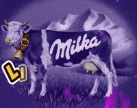 Cow Sommer GIF
