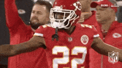 Kansas City Chiefs Football GIF by NFL