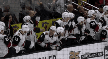 Happy Ice Hockey GIF by NHL