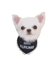 Dog Kiss Sticker