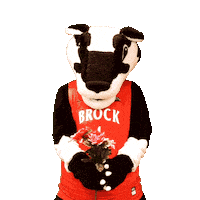 Heart Love Sticker by Brock University