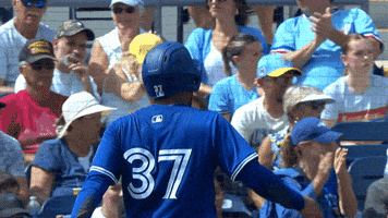 Blue Jays Good Job GIF by Toronto Blue Jays