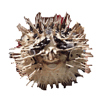 fish blow STICKER by imoji
