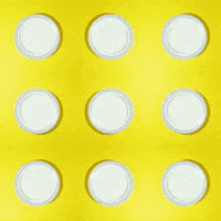 donuts GIF by Evan Hilton