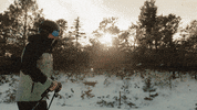 CamelbackResort winter mountain skiing camelback GIF