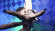 Halloween Horror GIF by CALABRESE